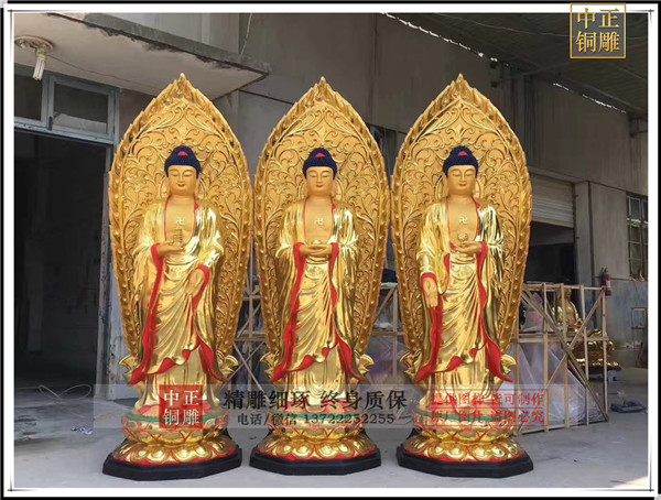 IMG_1730.jpg IMG_1730.jpg